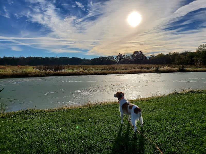 Buckeye Pheasant Hunting Preserve hunting ranch in New Lebanon, OH - gallery photo 3