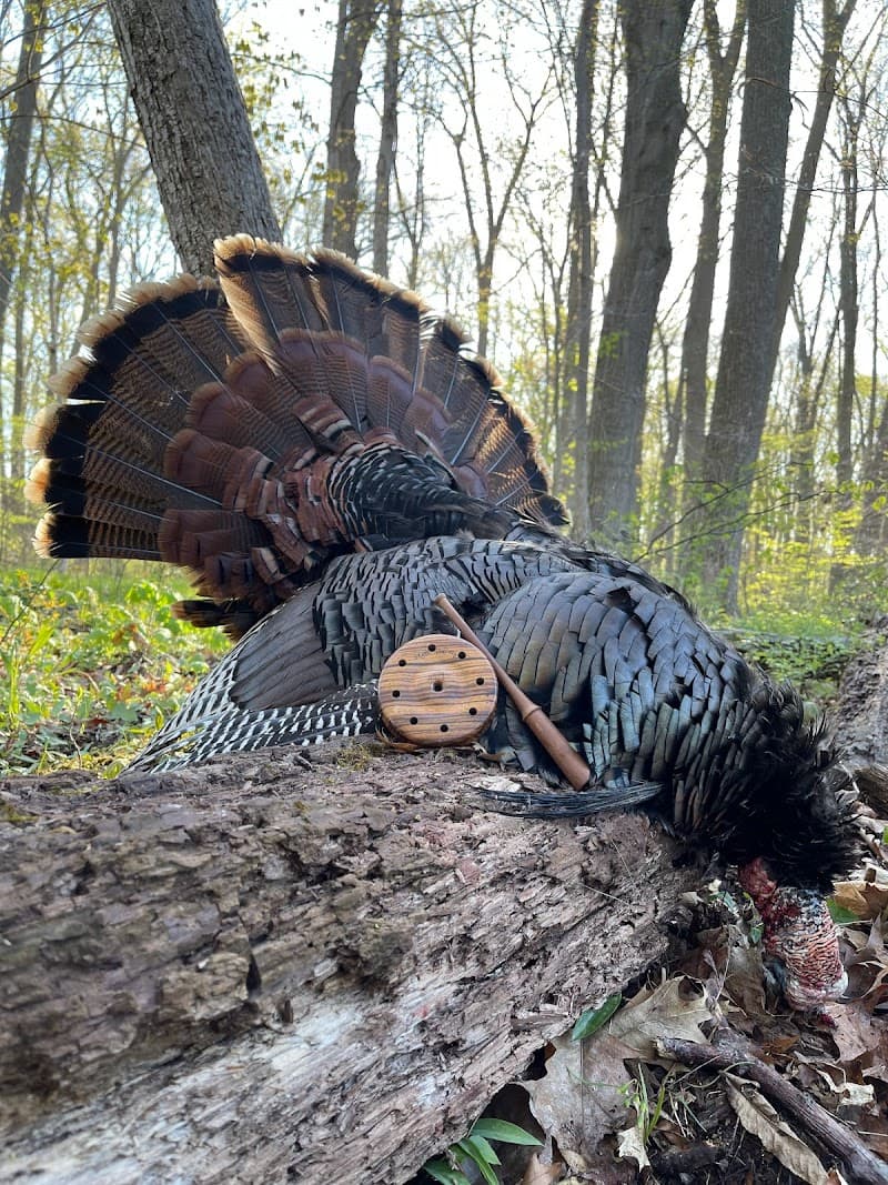 Bowhunting Ohio Whitetails, LLC hunting ranch in Rushville, OH - gallery photo 2
