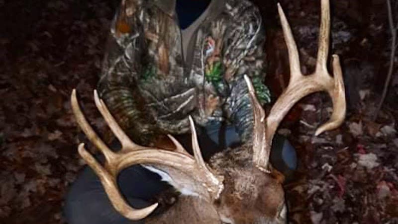 Bowhunting Ohio Whitetails, LLC hunting ranch in Rushville, OH - gallery photo 4