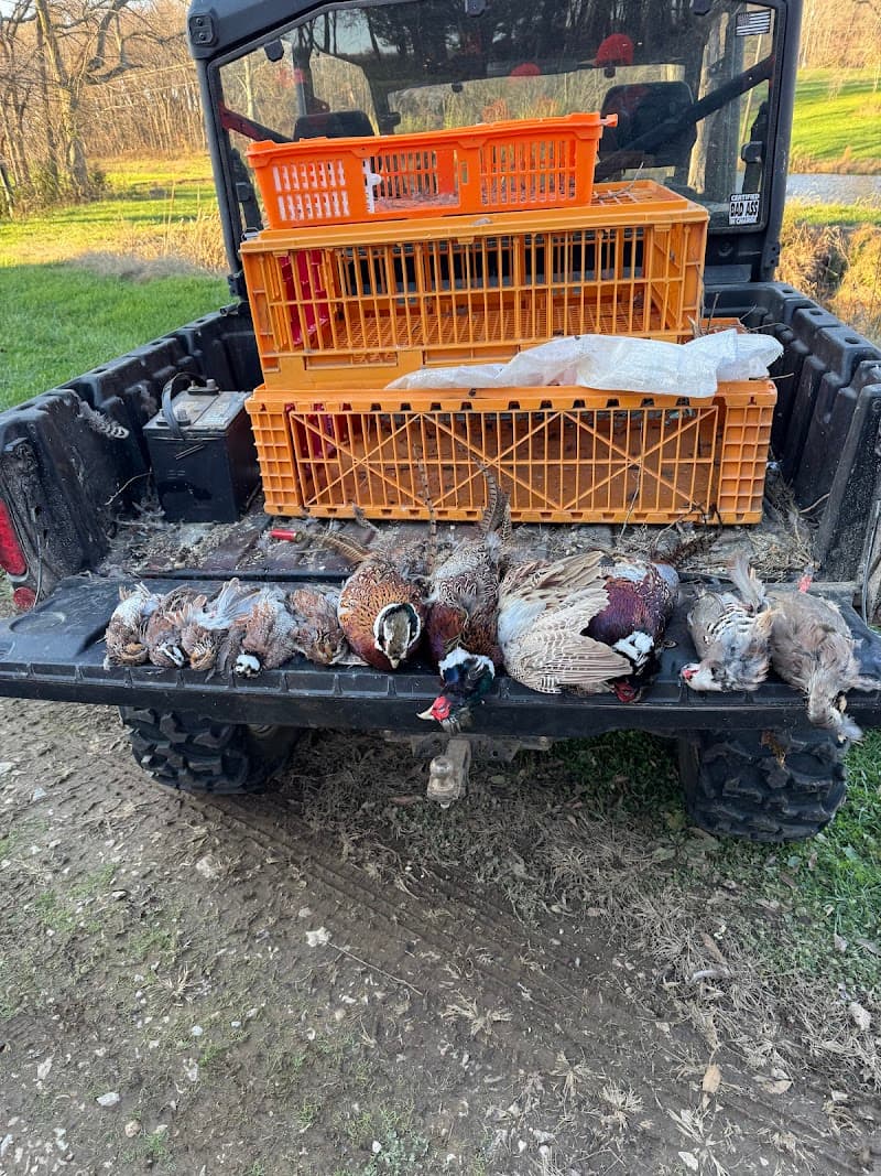 KY Hunting Preserve hunting ranch in Cecilia, KY - gallery photo 1