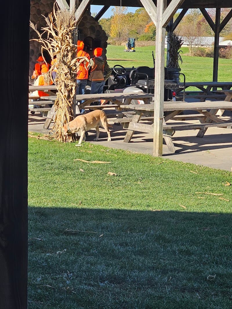 Elkhorn Lake Hunt Club hunting ranch in Bucyrus, OH - gallery photo 3