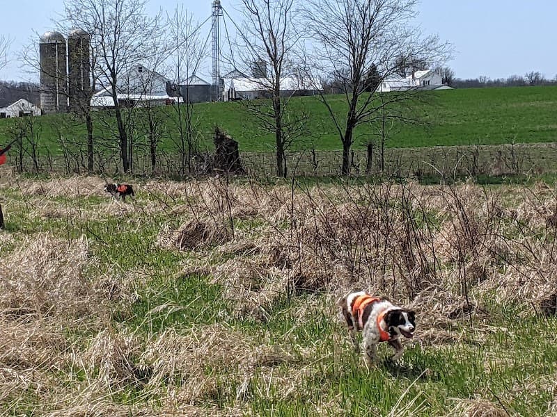 Elkhorn Lake Hunt Club hunting ranch in Bucyrus, OH - gallery photo 6
