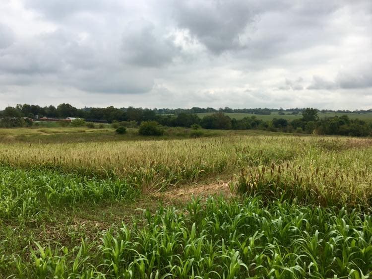Quail Point Preserve Winchester, KY hunting ranch in Winchester, KY - gallery photo 1