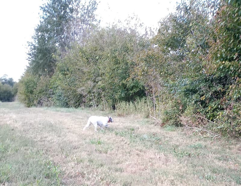 Quail Point Preserve Winchester, KY hunting ranch in Winchester, KY - gallery photo 2
