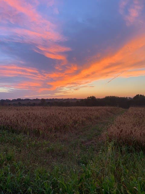 Quail Point Preserve Winchester, KY hunting ranch in Winchester, KY - gallery photo 3