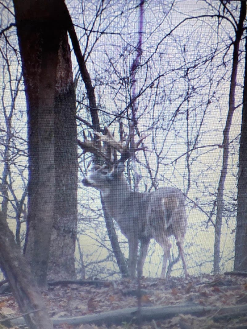 KG Trophy Deer Ranch hunting ranch in Jewett, OH - gallery photo 2