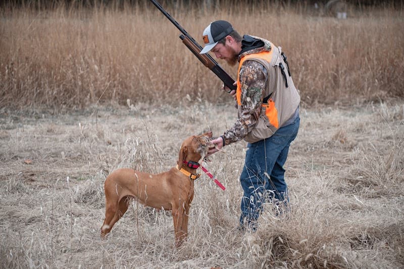 Covey Quest Preserve hunting ranch in Greensburg, KY - gallery photo 2