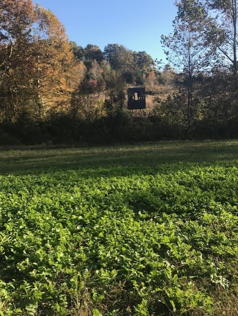 Kentucky Deer Hunting Outfitter hunting ranch in Buffalo, KY - gallery photo 1