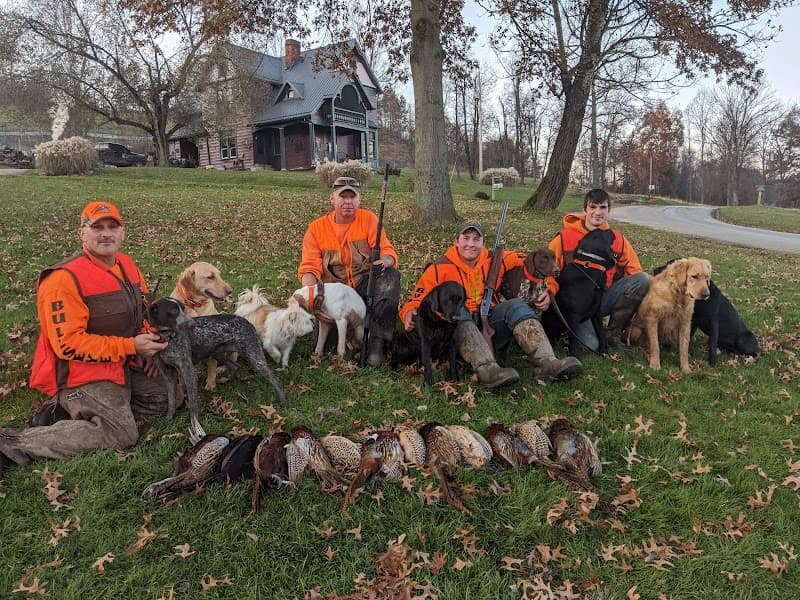 Bullseye Pheasant Preserve hunting ranch in Uhrichsville, OH - gallery photo 1
