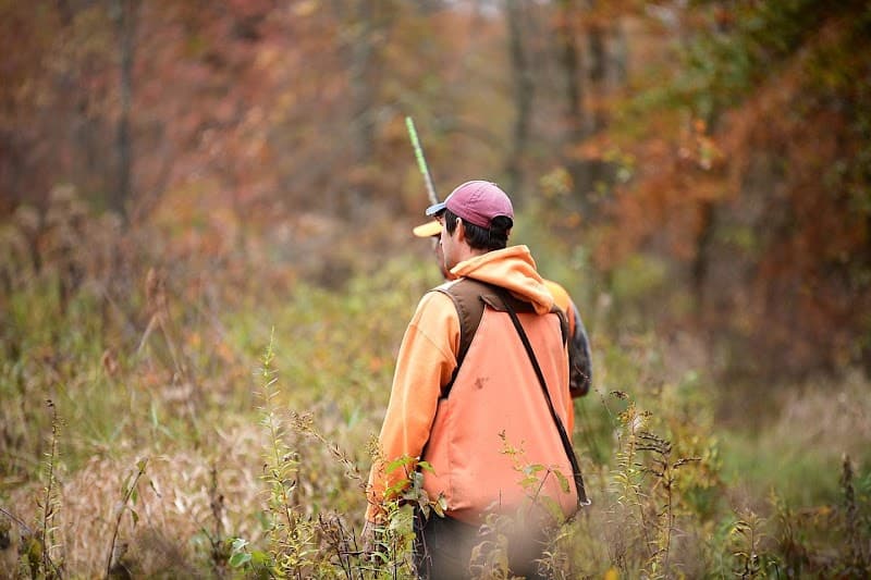 Bullseye Pheasant Preserve hunting ranch in Uhrichsville, OH - gallery photo 2