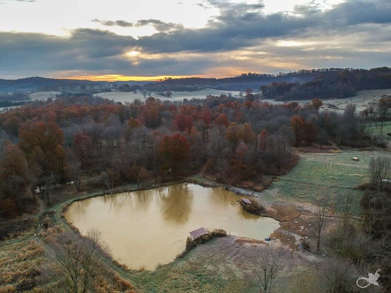 Bullseye Pheasant Preserve hunting ranch in Uhrichsville, OH - gallery photo 3