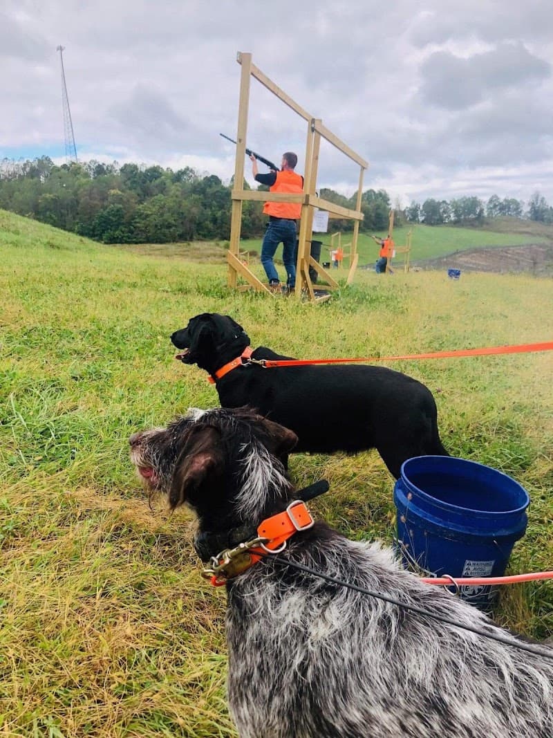 Bullseye Pheasant Preserve hunting ranch in Uhrichsville, OH - gallery photo 4