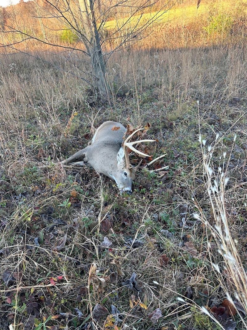 Buck Country Outfitters hunting ranch in Caneyville, KY - gallery photo 1
