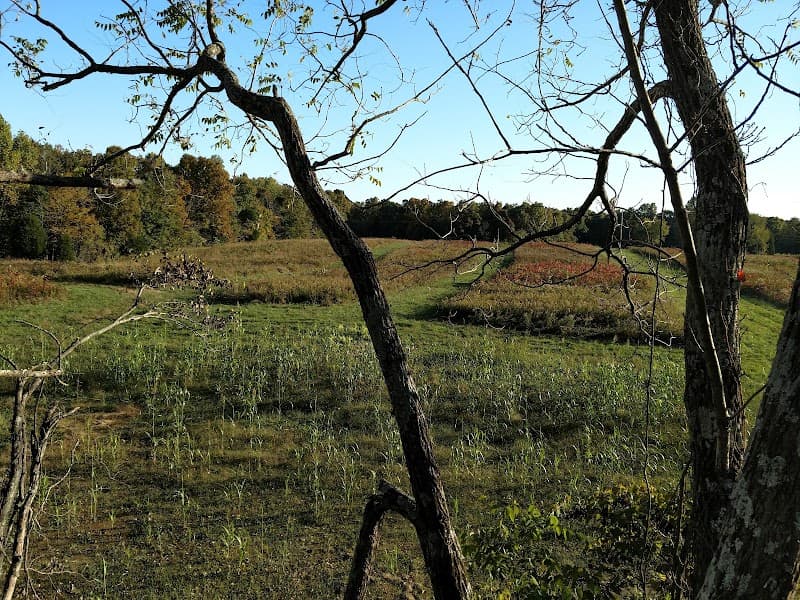 Buck Country Outfitters hunting ranch in Caneyville, KY - gallery photo 5