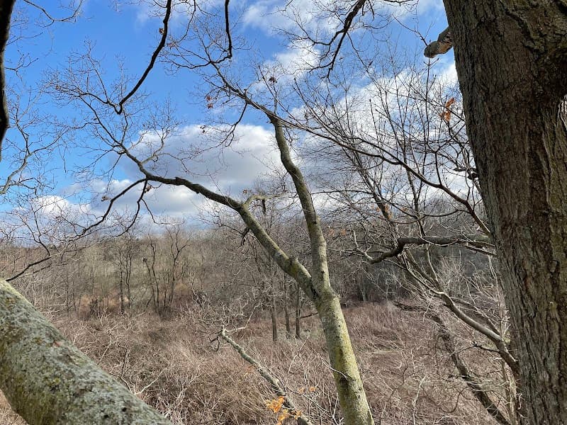 Brushy Fork Outfitters hunting ranch in Nashport, OH - gallery photo 4