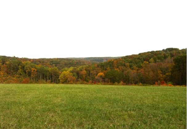 Brushy Fork Outfitters hunting ranch in Nashport, OH - gallery photo 5
