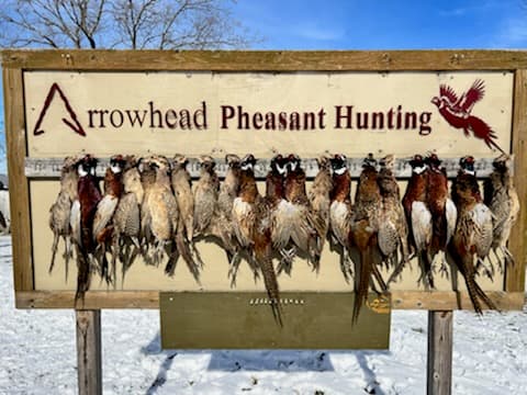 Arrowhead Pheasant Club hunting ranch in Wilmington, OH - gallery photo 4