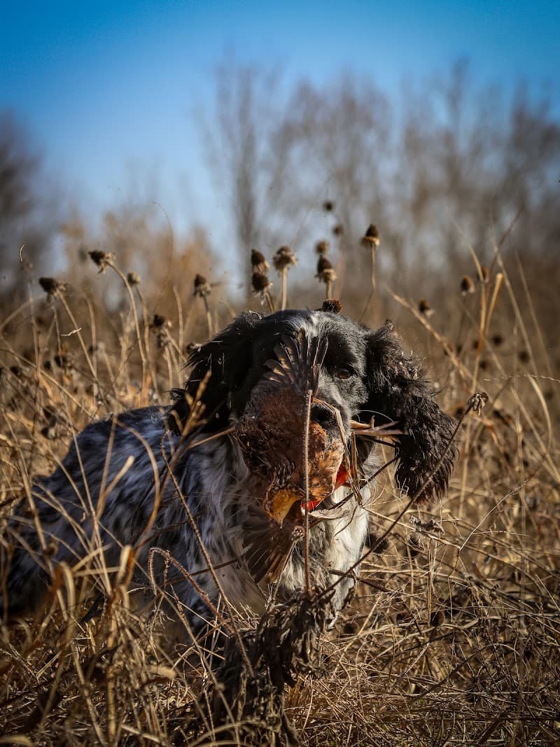 Backcountry Shooting Preserve hunting ranch in Glasgow, KY - gallery photo 1