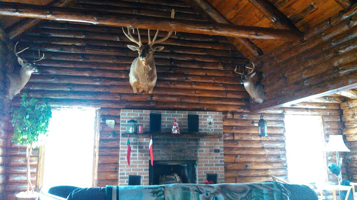 Ye Ole Hillbilly Lodge & Outfitter hunting ranch in Coshocton, OH - main photo