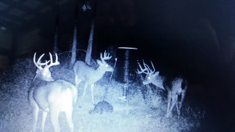 Ye Ole Hillbilly Lodge & Outfitter hunting ranch in Coshocton, OH - gallery photo 6