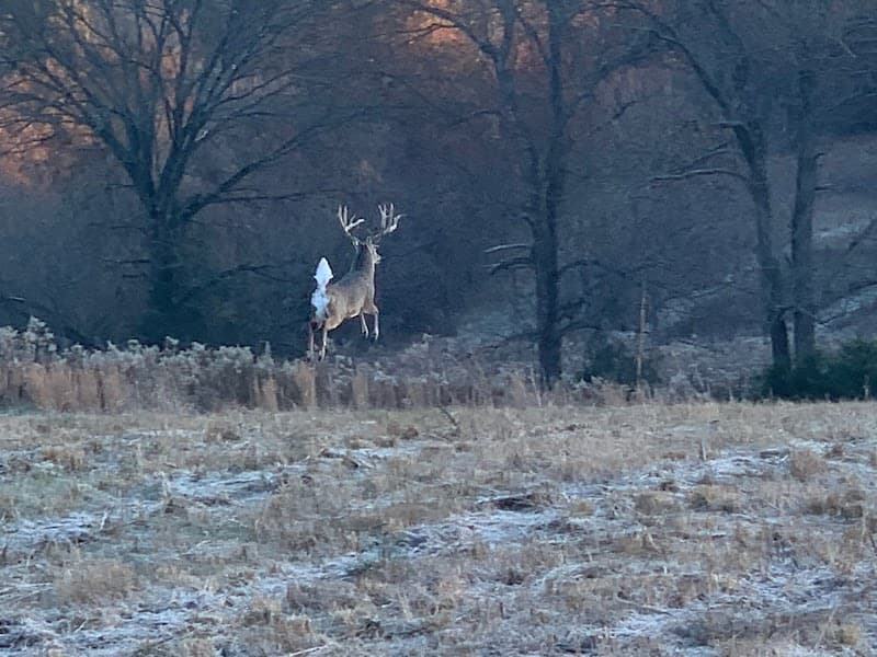 Woodard Whitetails of Kentucky hunting ranch in Glasgow, KY - gallery photo 3