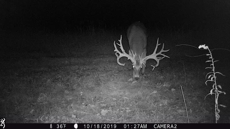 Woodard Whitetails of Kentucky hunting ranch in Glasgow, KY - gallery photo 5