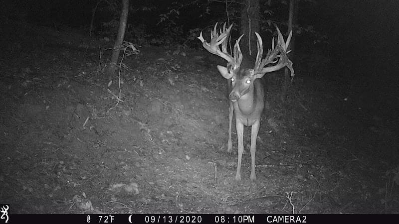 Woodard Whitetails of Kentucky hunting ranch in Glasgow, KY - gallery photo 6