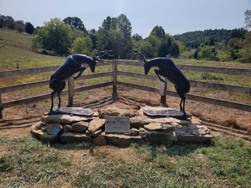 Norton Valley Whitetails hunting ranch in Harned, KY - gallery photo 4