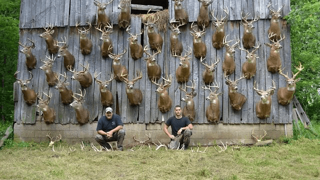Ohio Bowhunting Outfitters hunting ranch in Gambier, OH - gallery photo 2
