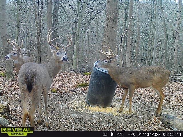 Ohio Bowhunting Outfitters hunting ranch in Gambier, OH - gallery photo 5