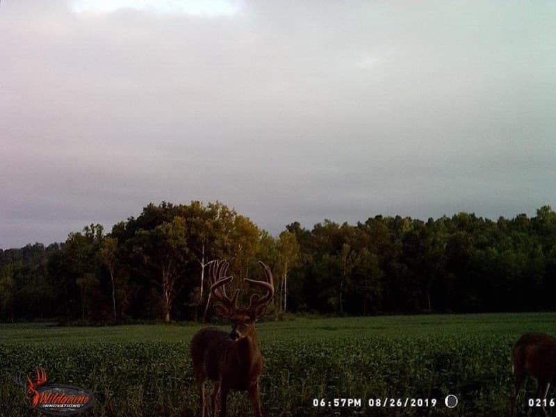 Bluegrass Whitetail Outfitters Inc. hunting ranch in Hardinsburg, KY - gallery photo 2