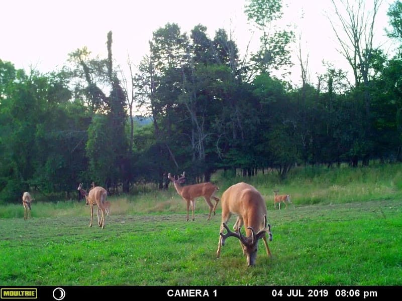 Premier Whitetail Retreat hunting ranch in Ashland, OH - gallery photo 2