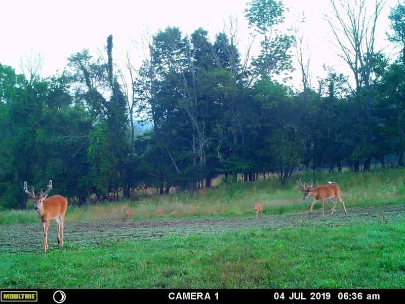 Premier Whitetail Retreat hunting ranch in Ashland, OH - gallery photo 3