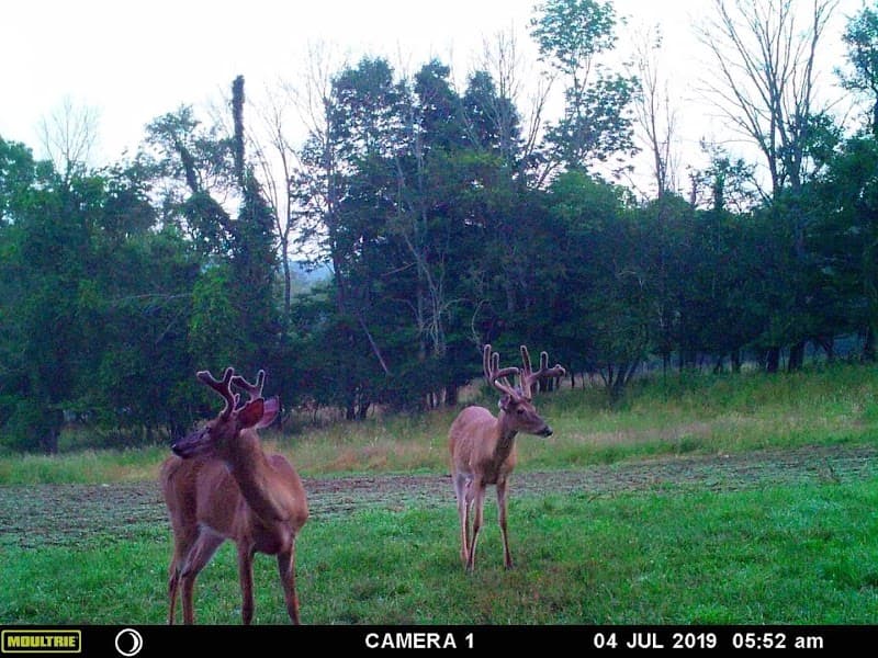 Premier Whitetail Retreat hunting ranch in Ashland, OH - gallery photo 4